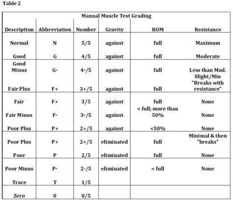 MMT Grading Chart Manual Muscle Testing Chart, Nbcot Exam Prep, Nbcot Exam, Manual Muscle Testing, Occupational Therapist Assistant, Geriatric Occupational Therapy, Physical Therapy School, Physical Therapy Assistant, Muscle Testing