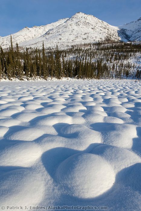 Snow covered tussocks in the tundra landscape north of Coldfoot, Alaska in the Brooks mountain range. Tundra Aesthetic, Tundra Landscape, Snowy Tundra, Biomorphic Architecture, Ice Wolf, Arctic Tundra, Snowy Mountain, Winter Scenery, Snow Mountain