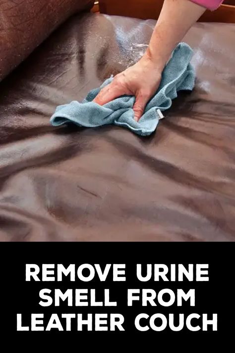 How to Remove Urine Smell From Leather Couch Urine Stains Out Of Couch, How To Clean Urine Out Of A Couch, Getting Urine Smell Out Of Couch, How To Get Urine Smell Out Of Couch, Cat Pee Smell Removal From Couch, How To Clean Leather Couch, Remove Dog Urine From Couch, How To Clean Faux Leather Couch, How To Get Pet Smell Out Of Couch