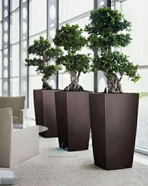 The Modern Black Tapering Cube FRP Planter With Its Handcrafted Smooth Finished Body And Clean Lines Adds A Unique And Minimalistic Touch To Any Spaces. Showcase Your Favorite Plants In Style And Bring A Touch Of Natural Charm To Your Interior. Using Fiberglass Planters In Your Plantscaping Designs Is A Great Way To Enhance The Beauty Of Any Indoor Or Outdoor Landscape. Their Durable, Commercial Grade Construction And Vast Color Choices Make Fiberglass Plant Containers An Interiorscape And Ex... Artificial Plant Arrangements, Plants Tropical, Artificial Plants Indoor, Planting Pots, Mediterranean Plants, Decoration Plante, Big Plants, Interior Plants, Self Watering Planter