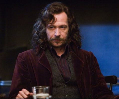 Sirius Black Gary Oldman, Serious Black, Harry Potter Icons, Images Harry Potter, Gary Oldman, Harry Potter Film, Harry Potter Series, Harry Potter Movies, Sirius Black