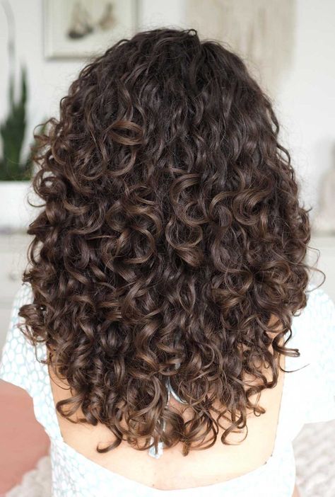 Medium Brown Hair Curly, Curly Brown Hair Colors, Natural Curly Brunette Hair, Dark Brown Hair Curly Natural, Brown Curly Hair Colors, Chocolate Brown Balayage Curly Hair, Brown Hair Colors Curly Hair, Chocolate Brown Hair Curly, Highlights Brown Curly Hair