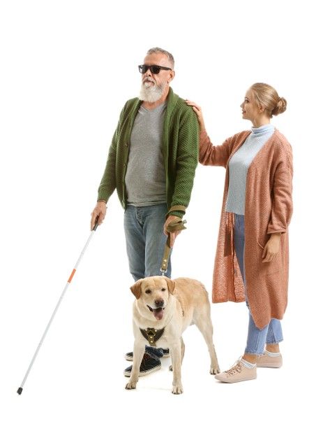 Man With Daughter, Collage Clippings, Man With Dog, Person Png, Blind Person, Render People, People Cutout, Dog Man, People Png