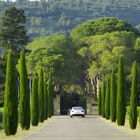 POV: A grand chateau from 1731, updated with everything modern you need. With 10 big bedrooms, your own olive orchards, and a vineyard, it's a slice of heaven in the South of France. Lin in Bio to reserve this villa South Of France House, South Of France Villa, Vineyard House, Villa France, Villas In Italy, Big Bedrooms, Driveway Landscaping, Under The Tuscan Sun, Slice Of Heaven