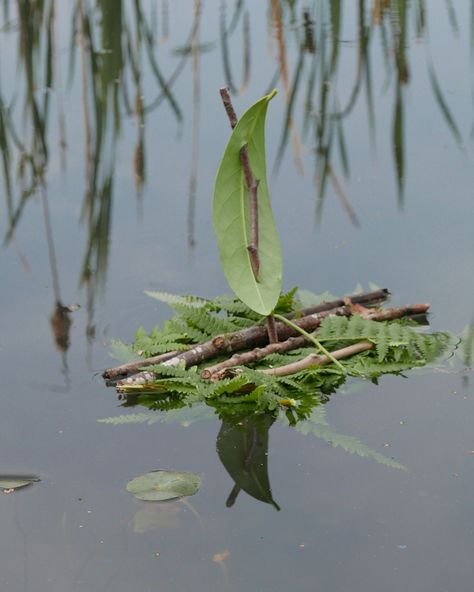 River Activities For Kids, Water Reference, River Activities, Pond Crafts, Pond Dipping, Water Play Activities, Nature Based Learning, Nature Hunt, Boy Squad