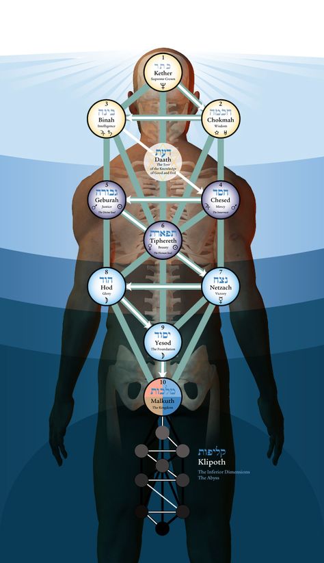 Kabbalah, the Tree of Life on the body Egiptul Antic, Sacred Geometry Symbols, Occult Symbols, Alchemy Symbols, Esoteric Art, Spirit Science, Magic Symbols, Kuantan, Occult Art