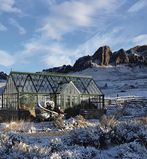 How To Winterize A Greenhouse, Winterized Greenhouse, Greenhouse In Winter, Winter Greenhouse, Sustainable Gardening, Small Greenhouse, Keep Growing, Garden Greenhouse, Plant Ideas