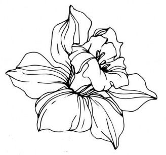 March Birthstone Tattoo, March Birth Flower Drawing, March Birthday Flower Tattoo, March Flowers Tattoo, March Birth Flower Tattoo With Name, Daffodil Drawing Tattoo Ideas, March Tattoo Ideas Birth Month, March Birth Flower Tattoo Daffodils, Birth Flower March