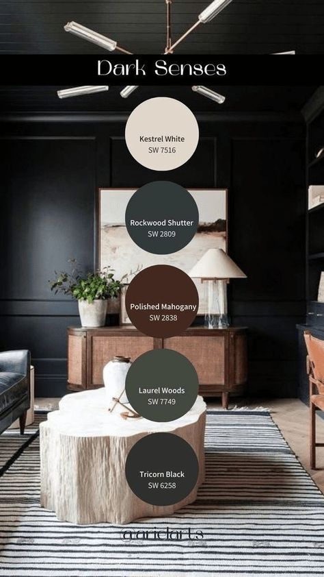 Paint Palettes, Moody Decor, Moody Interiors, House Color Palettes, Dark Home Decor, Dark Home, Sherwin Williams Paint Colors, Color Palette Design, Take Risks