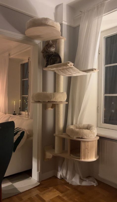 Natural Paradise Wall Scratching Tree - Magnolia Wall Furniture For Cats, Living Room Ideas With Cats, Cat Items Aesthetic, White Cat Tree, Cat Eating Area, Catification Apartment, Cat Area In Bedroom, Cat Friendly Living Room, Aesthetic Cat Stuff