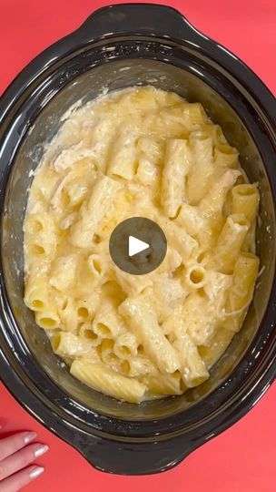 Easy One Pot Dinner! 😲 #pastalover #dinnerideas #recipes | Kyle & Mistie Knight | Kyle & Mistie Knight · Original audio Kyle & Mistie Knight Recipes, Quick Crockpot Meals, One Pot Dinner, Fast Easy Meals, Crock Pot Soup, Crock Pot Slow Cooker, Crockpot Recipes Slow Cooker, Crock Pot Cooking, Chicken Dishes Recipes