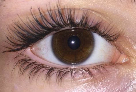 Grow Your Eyelashes, Brown Eyes Aesthetic, Big Eyelashes, Lash Care, Long Thick Eyelashes, Beauty And Cosmetics, Thick Eyelashes, Big Lashes, Lash Style