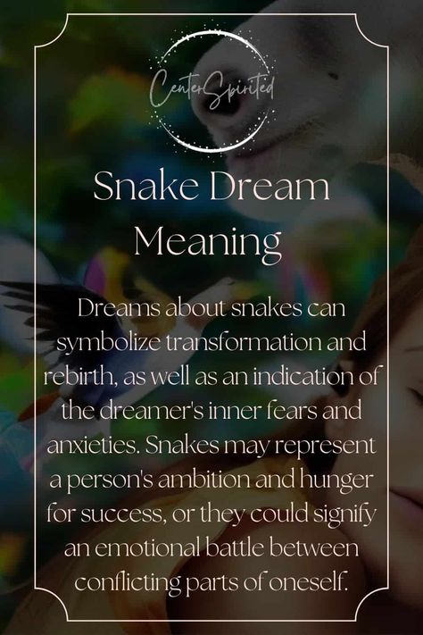 Dream Messages, Spiritual Animals, Dream Meaning, Dream Dictionary, Witch Spirituality, Dream Weaver, Trust Your Gut, Dream Symbols, Dream Meanings