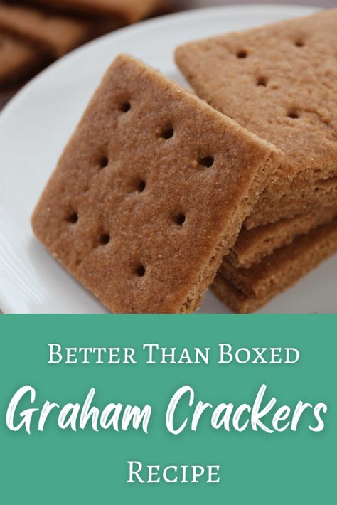 Graham Cracker Recipes, Biscuits Graham, Homemade Graham Crackers, Homemade Crackers, Tartar Sauce, Cracker Recipes, حلويات صحية, Homemade Snacks, Healthy Homemade