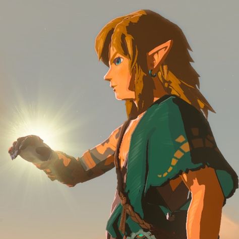 Link Reference Totk, Legend Of Zelda Tears Of The Kingdom Link, Link Arm Tears Of The Kingdom, Link Tears Of The Kingdom Arm, Legend Of Zelda Link Haircut, Link Pfp Tears Of The Kingdom, Tears Of The Kingdom Screenshots, Link Side Profile, Link Hairstyle Zelda