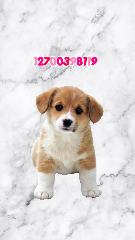 Bloxburg Bird Decals, Bloxburg Dogs Codes, Bloxburg Pet Cat Decal Codes, Bloxburg Decals Codes Pets, Dog Codes For Bloxburg, Bloxburg Puppy Decal Codes, Bloxburg Dog Decal Codes Transparent, Puppy Decals Bloxburg, Bloxburg Dog Food Decal Codes