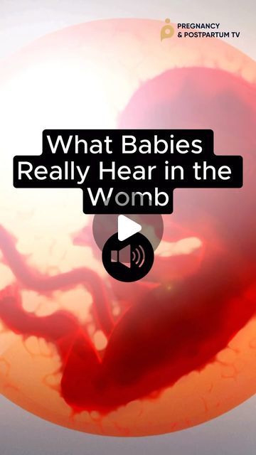 Jessica Pumple | Pregnancy Postpartum TV on Instagram: "By 18 weeks it might sound 📣like THIS as your baby hears their first sounds… 

Did you read your baby in womb a particular book or have a special song you sang to them? 🎵📖😍 

Share with a pregnant mama 💞

#pregnancy #pregnant #babyinwomb #fetus #fetaldevelopment #ultrasound #preggo #preggers" Ultrasound Memes Funny, How Baby Grows In Womb, Baby Growth Chart In Womb, Baby Hiccups In Womb, 19 Weeks Pregnant, Baby In Womb, 27 Weeks Pregnant, 24 Weeks Pregnant, 38 Weeks Pregnant