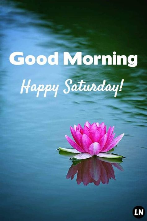 Happy Saturday Images Beautiful, Saturday Greetings Good Morning, Good Morning Happy Saturday Quotes, Good Morning Saturday Quotes, Saturday Morning Images, Coffee Saturday, Good Morning Saturday Wishes, Happy Saturday Pictures, Saturday Good Morning