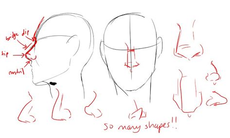 Pointed Ears Drawing Reference, How To Draw Hooked Nose, Hook Nose Reference, How To Draw Noses Front View, Pointed Ears Drawing, Hook Nose Drawing, Hook Nose Front View, Hooked Nose Drawing Reference, Noses Front View