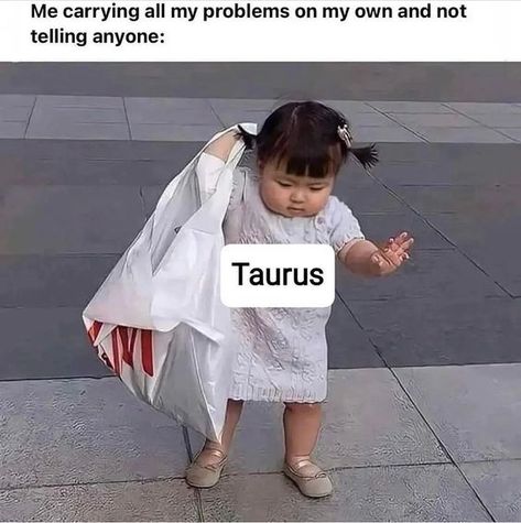 38 Taurus, Taurus Journal, Taurus Funny, New Moon In Taurus, Taurus Zodiac Quotes, Moon In Taurus, Taurus Memes, Taurus Season, Taurus Traits