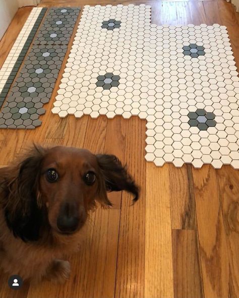 Parisian Floor Tile, Historical Tile Patterns, Dark Mosaic Tile Bathroom, Custom Penny Tile Design, Victorian Bathroom Flooring, Penny Tile Mosaic Pattern, Historic Tile Floor, Wellfleet Tile, Vintage Tile Floor Entryway