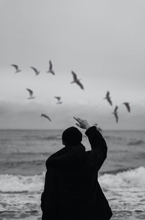 Person Standing Back View, Pov Reference, Sea Person, Birds Images, Picture Of A Person, Beach Birds, View Beach, 2013 Swag Era, Lighthouse Keeper