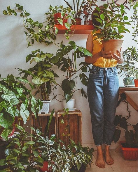 https://youtu.be/y_qO2BN04i0 Plant Mom Aesthetic, Plant Photography, Plant Aesthetic, House Plants Decor, With Mom, Plant Mom, Foto Inspiration, Plant Lady, Green Aesthetic