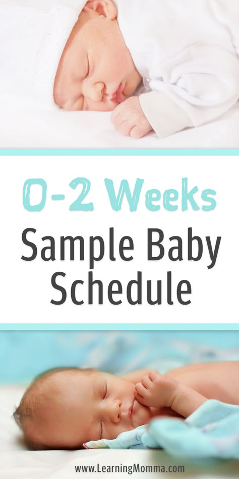 Babywise Schedule, Baby Wise, Newborn Sleep Schedule, Newborn Schedule, Baby Routine, Newborn Feeding, Baby Schedule, Newborn Baby Tips, Baby Sleep Schedule