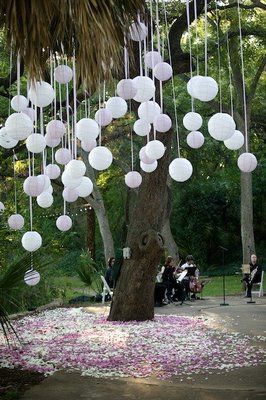 Hanging Balloons, Rustic Wedding Decorations, Wedding Cake Designs, A Park, Paper Lanterns, Pom Poms, Future Wedding, A Tree, Garden Party