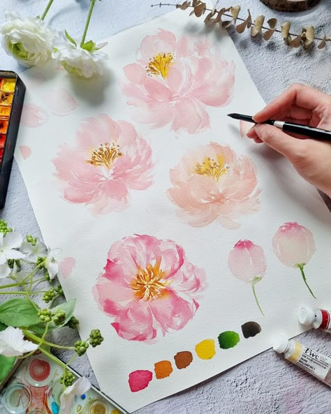 Paint Peonies, Watercolor Challenge, Watercolour Challenge, Easy Flower Painting, Learn Watercolor Painting, Japanese Watercolor, Soft Watercolor, Learn Watercolor, Watercolor Peonies