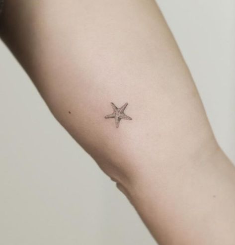 Dainty Sea Shell Tattoo, Starfish Minimalist Tattoo, Starfish Story Tattoo, That’s Life Tattoo, Tiny Starfish Tattoo Simple, Starfish Line Tattoo, Pacific Ocean Tattoo, Starfish Fine Line Tattoo, Beach Tiny Tattoo