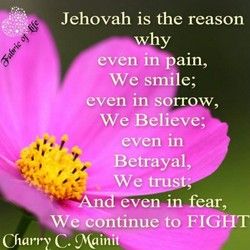 Quotes about Jehovahs Witnesses (42 quotes) Jw Life, Jehovah Quotes, Encouraging Thoughts, Jehovah Witness Quotes, Jehovah Witness, Wise Woman, Family Worship, Spiritual Encouragement, Spiritual Thoughts