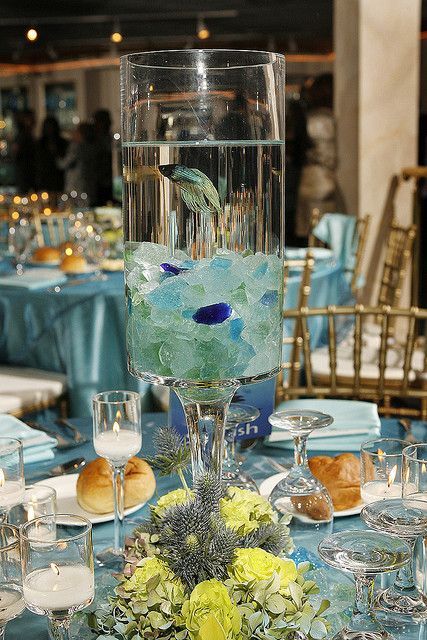 Love the idea of having Beta fish center pieces, and letting the guests take them home as a party favor :) they are just too pretty Beta Fish Centerpiece, Fish Centerpiece, Wedding Reception Centerpiece, Fishing Wedding, Beta Fish, Wedding Reception Centerpieces, Reception Centerpieces, Sea Theme, Beach Theme Wedding