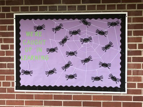 Spiders Spider Bulletin Boards, Spider Bulletin Board Ideas, Spider Bulletin Board, Classroom Bulletin Boards Elementary, October Bulletin Boards, Spider Theme, Halloween Bulletin Boards, Class Door, Preschool Projects