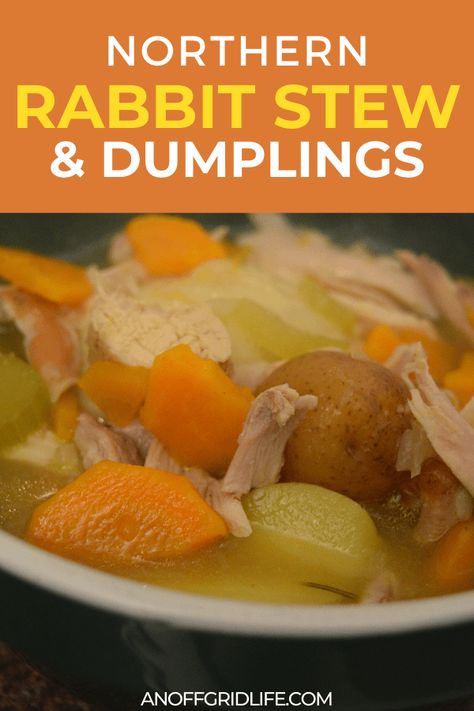 Crockpot Rabbit Stew, Rabbit Soup Recipe, Rabbit Stew Recipe Crockpot, Rabbit Instant Pot Recipes, Rabbit Stew Crockpot, Dumplings Recipe Crockpot, Rabbit And Dumplings Recipe, Rabbit Dumplings Recipe, Rabbit Stew Recipe