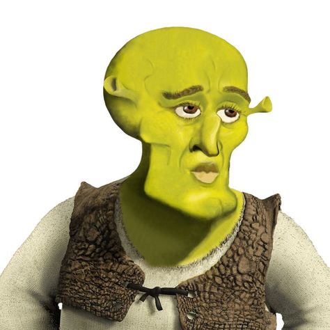 Handsome Shrek Handsome Shrek, Cute Shrek, Shrek Character, Lord Farquaad, Character Drawings, Name Wallpaper, Weird Food, Shrek, Be Better