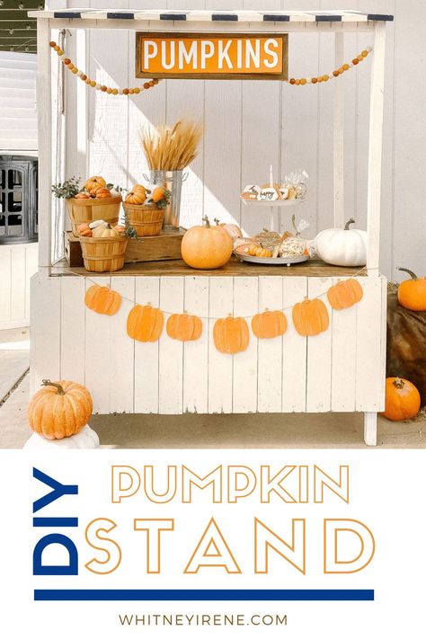 Pumpkin Stand Mini Session - Darling Pumpkin Stand Photoshoot Diy Pumpkin Stand Photo Prop, Pumpkin Patch Stand Photoshoot, Pumpkin Stand Photoshoot, Pumpkin Stand Diy, Farmers Market Pumpkin Display, Pumpkin Stand Mini Session, Pumpkin Patch Stand, Stand Photoshoot, Lemonade Stand Photo Shoot