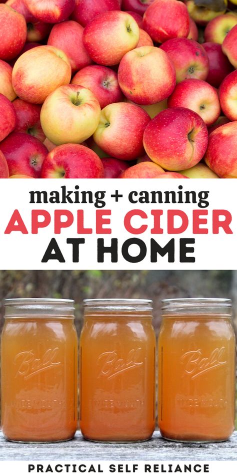 Apple Cider Recipe For Canning, Canned Apple Cider Recipe, Recipes For Fresh Picked Apples, How Do You Make Apple Cider, Canning Honeycrisp Apples, Apple Cider From Fresh Apples, How To Make Homemade Apple Cider, Fresh Pressed Apple Cider, Canning Homemade Apple Cider