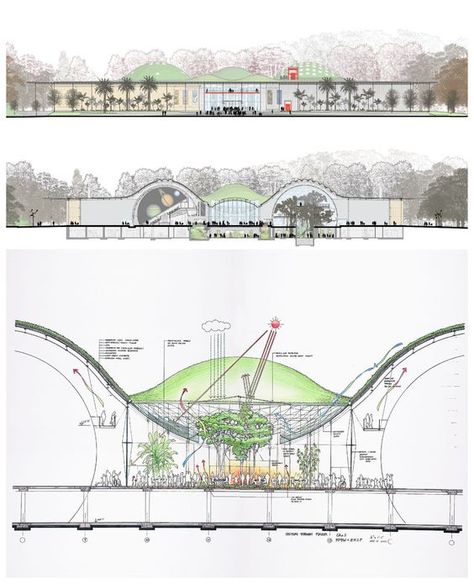 California Academy of Sciences by Renzo Piano / Drawings and Sketches: Piano Drawings, Lebbeus Woods, Piano Design, California Academy Of Sciences, Steven Holl, Architecture Concept Diagram, Landscape Sketch, Tadao Ando, Renzo Piano