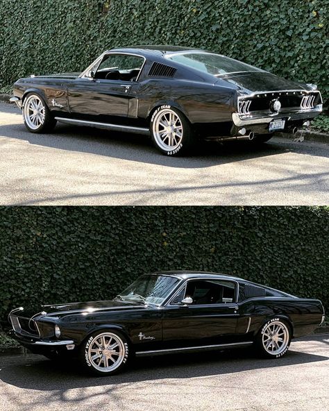 @ClassicsDaily | '68 Mustang Fastback _ @68memphismustang #mustang #fastback #americanmuscle #musclecar #classiccar #classicsdaily Mustang Reference, 68 Mustang Fastback, Fastback Mustang, 68 Mustang, Classical Cars, Tuned Cars, Fox Mustang, Luxury Toys, 1957 Chevy Bel Air