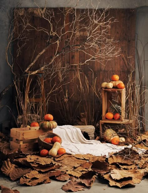 Fall Mini Shoot, Fond Studio Photo, Ruangan Studio, Photo Studio Design, Photography Studio Decor, Pumpkin Patch Photoshoot, Photography Studio Design, Fall Backdrops, Fall Home Decor Ideas