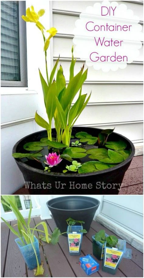 Easy DIY Container Garden Tanaman Air, Diy Container, Mini Pond, Taman Diy, Container Water Gardens, Taman Air, Backyard Pond, Tanaman Pot, Jardim Diy