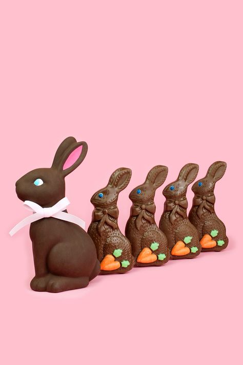 DIY Chocolate Bunny Easter Décor Easter Bunny Chocolate, Candy Easter Basket, Lps Customs, Easter Photoshoot, Egg Ideas, Easter 2024, Chocolate Rabbit, Diy Chocolate, Chocolate Easter Bunny