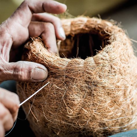 Coconut Fiber Craft, Coconut Decor, Coconut Leaves, Live Art, Land And Sea, Bamboo Furniture, Coconut Fiber, Plant Fibres, Social Enterprise