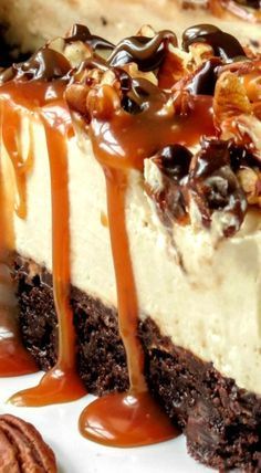 Turtle Cheesecake Bars, Millionaire Pie, Decadent Cheesecake, Turtle Cheesecake Recipes, Bake Brownies, Cheesecake Brownie, Turtle Cheesecake, Baked Caramel, Coconut Dessert