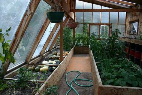 Attaching a green house to your house not only grows you food longer, but it can also help heat your house. Greenhouse Attached To House, Attached Greenhouse, Beautiful Greenhouse, Greenhouse Design, Indoor Greenhouse, Wooden Greenhouses, Plants Growing, Small Greenhouse, Greenhouse Kit