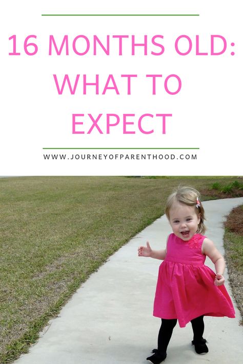 What to expect with a 16 month old toddler girl - milestones, development, and everything you may deal with at this age. #toddlermilestones #toddlerdevelopment 16 Month Milestones, 16 Month Old Development, Toddler Chores, Toddler Milestones, Development Milestones, Look At Her Now, Parenting Knowledge, Toddler Development, Baby Prep