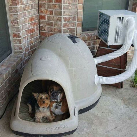 Dog House with Air Conditioning!!! <3 Love!! The best idea for dogs this Summer!!! Get one here: http://amzn.to/1UJsHdP Air Conditioned Dog House, Dog House With Ac, Diy Ac, Dogs House, Kennel Ideas, Outdoor Dog House, Cool Dog Houses, Dog House Diy, Cheap Dogs