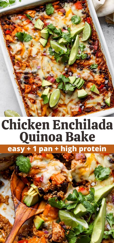 High Protein Enchilada Casserole, Meals For High Cholesterol, Chicken Enchilada Quinoa, Chicken Quinoa Recipes, Quinoa Enchilada Bake, Enchiladas Easy, Healthy Chicken Enchiladas, Quinoa Bake, Eating Protein