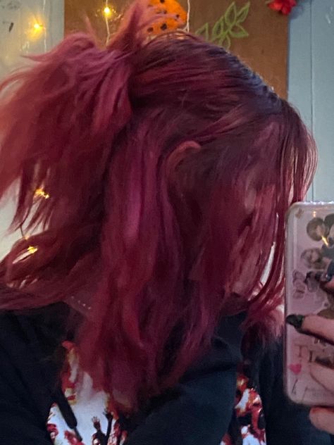 Crimson Hair Aesthetic, Hair Dye For Brown Hair Ideas, Dark Red Hair With Black Tips, Dyed Hair Full Head, Color Dye Hair Ideas, Red Hair Dye Over Brown, Red Hair In A Ponytail, Dark Red Hair Dye Ideas, Hair Color Ideas One Color